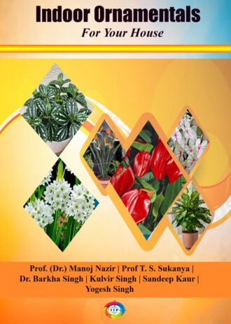 IIP1019 FRONT COVER