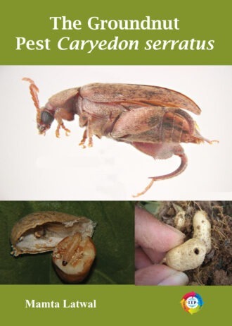 IIP784_1 FRONT COVER